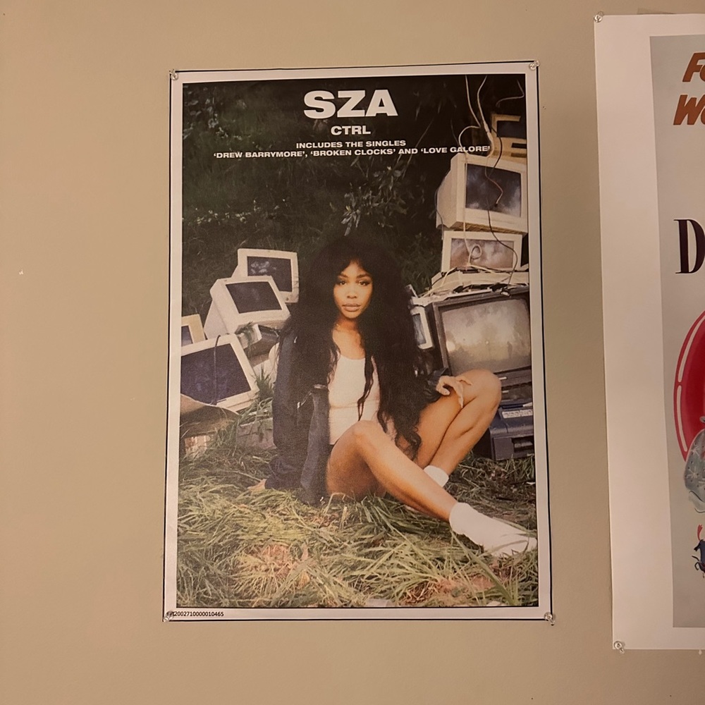 sza poster